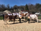 AG du syndicat Montbéliard 74 AG du syndicat Montbéliard 74