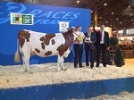 Salon International de l'Agriculture 2015 Salon International de l'Agriculture 2015