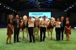 SWISS EXPO 2015 SWISS EXPO 2015