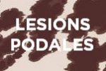 Lesions podales, session d’harmonisation Lesions podales, session d’harmonisation