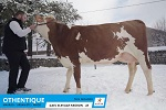 Expo Umotest 2021 - retrouvez Othentique (MAVRICK) Expo Umotest 2021 - retrouvez Othentique (MAVRICK)