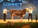 Concours du Sommet de l'élevage Concours du Sommet de l'élevage