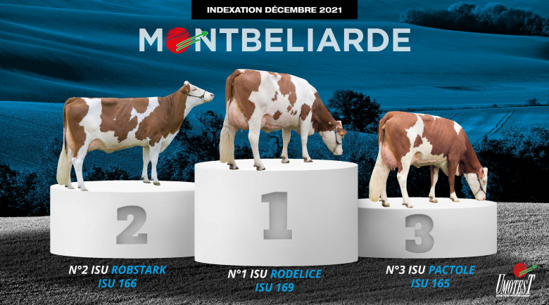 Indexation décembre 2021