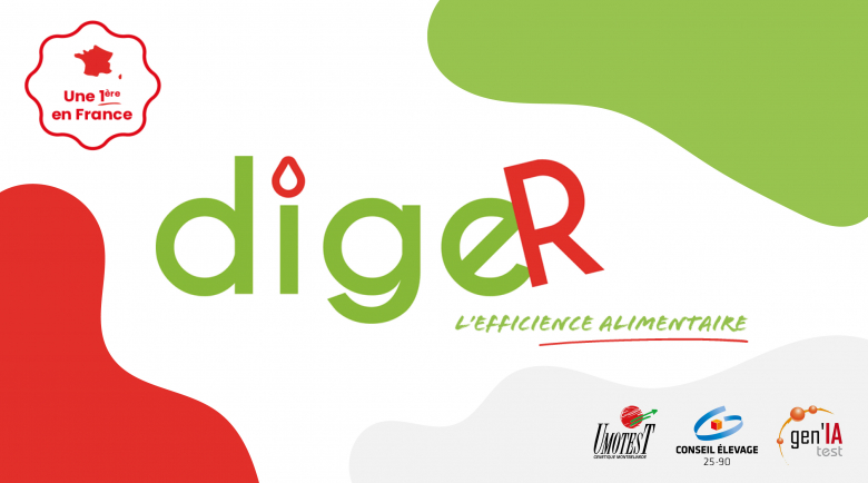 digeR
