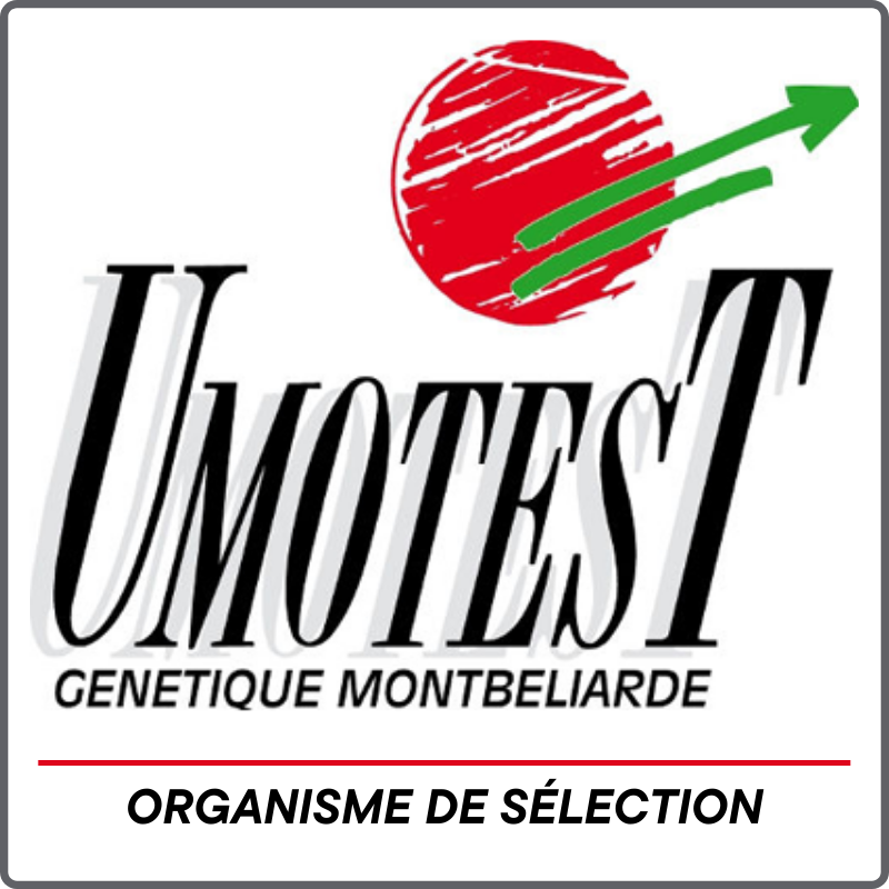 logo OS Umotest logo OS Umotest