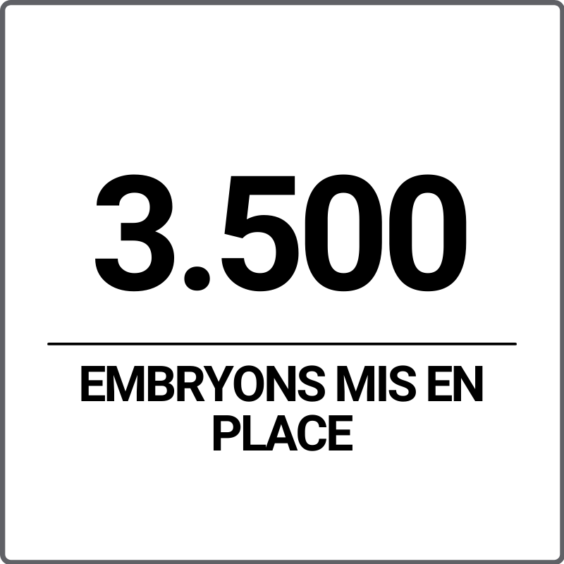 nombre d'embryons mis en place nombre d'embryons mis en place