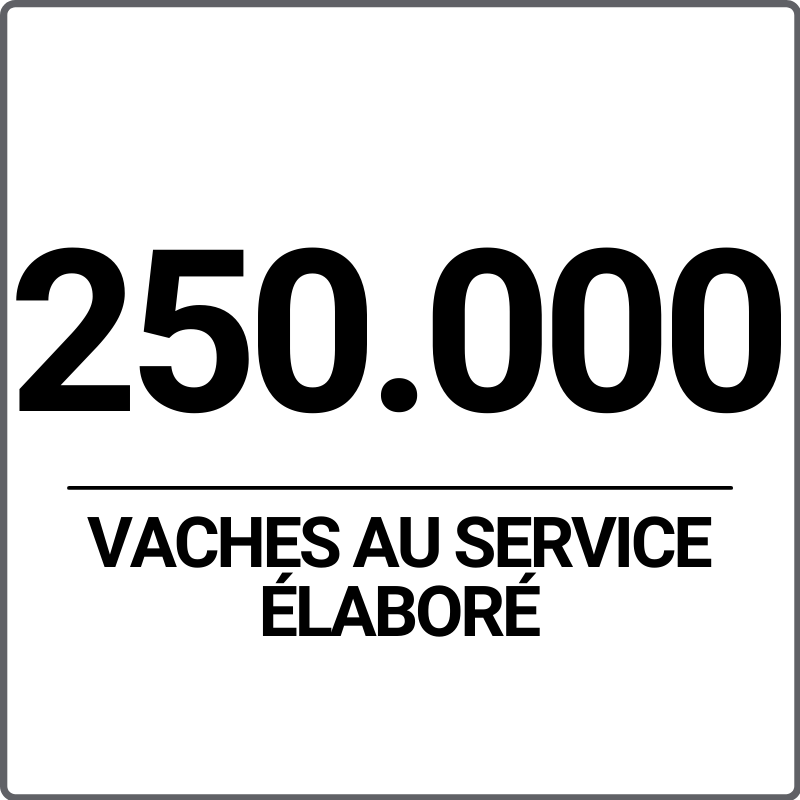 vache au service élaboré vache au service élaboré