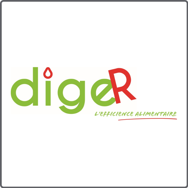 logo diger logo diger