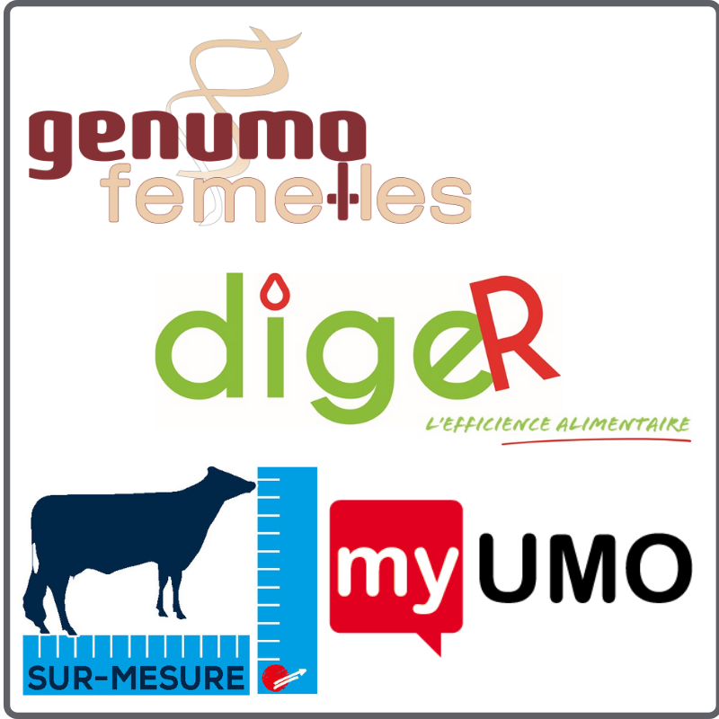 Différents services proposés par Umotest différents services proposés par Umotest, pointage, génotypage, indexs exclusifs, MyUmo